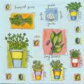 herbes0001-4b.jpg (4169 octets)