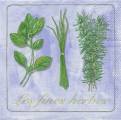 herbes0004-2.jpg (3252 octets)