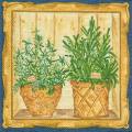 herbes0011-1a.jpg (4611 octets)