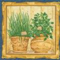 herbes0011-1b.jpg (4396 octets)