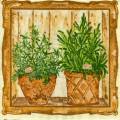 herbes0011-2b.jpg (4955 octets)