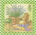 herbes0015-2.jpg (4368 octets)