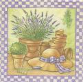 herbes0015-3.jpg (4362 octets)