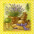 herbes0015-4.jpg (4216 octets)