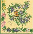 herbes0022-1b.jpg (4986 octets)