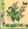 herbes0022-1c.jpg (4512 octets)