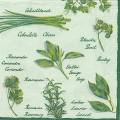 herbes0031-1b.jpg (3924 octets)