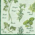 herbes0031-1c.jpg (4236 octets)