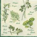 herbes0031a.jpg (4109 octets)