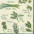 herbes0031b.jpg (4112 octets)