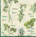 herbes0031c.jpg (4239 octets)