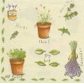 herbes0033-1a.jpg (3246 octets)