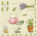 herbes0033-1b.jpg (3409 octets)