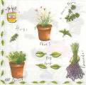 herbes0033-2a.jpg (3724 octets)