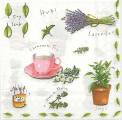 herbes0033-2b.jpg (3871 octets)