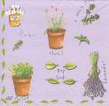 herbes0033-3a.jpg (3129 octets)