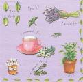 herbes0033-3b.jpg (3405 octets)