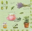 herbes0033-4b.jpg (3560 octets)