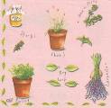 herbes0033a.jpg (3281 octets)