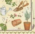 herbes0039-1.jpg (4298 octets)