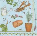 herbes0039-2.jpg (4319 octets)