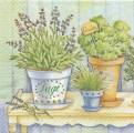 herbes0043-1a.jpg (3968 octets)