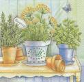 herbes0043-1b.jpg (3955 octets)