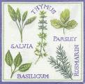 herbes0045-1.jpg (4288 octets)