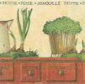 herbes0047-1b.jpg (3455 octets)