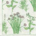 herbes0048-1a.jpg (3691 octets)