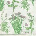 herbes0048-1b.jpg (3974 octets)
