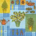 herbes0049-1a.jpg (4259 octets)