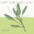 herbes0050-1.jpg (2425 octets)