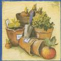 herbes0051-1.jpg (3879 octets)