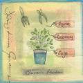 herbes0054-1.jpg (3300 octets)