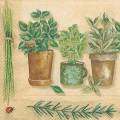 herbes0055-1a.jpg (3620 octets)