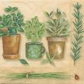 herbes0055-1b.jpg (3498 octets)