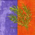 herbes0056-1.jpg (3337 octets)