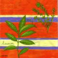 herbes0057-1.jpg (3439 octets)