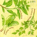 herbes0058-1c.jpg (15523 octets)