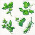 herbes0062-1.jpg (3583 octets)
