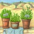 herbes0063-1.jpg (4228 octets)