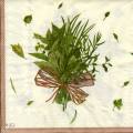 herbes0065-1a.jpg (3735 octets)