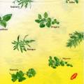 herbes0066-1.jpg (3098 octets)