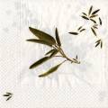 herbes0067-1a.jpg (2854 octets)