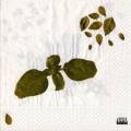 herbes0067-1b.jpg (2943 octets)