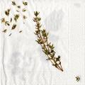 herbes0067-1d.jpg (2881 octets)