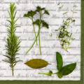 herbes0068-1b.jpg (4430 octets)