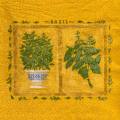herbes0069-1a.jpg (3339 octets)