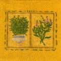 herbes0069-1b.jpg (3425 octets)